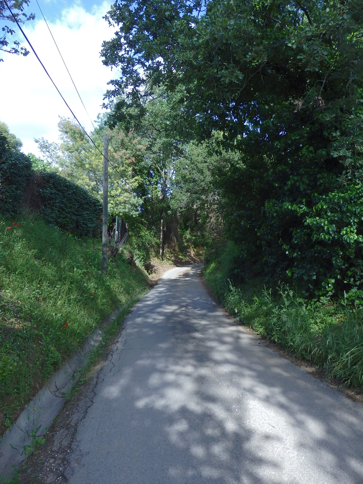 012 beauvallon voirie3