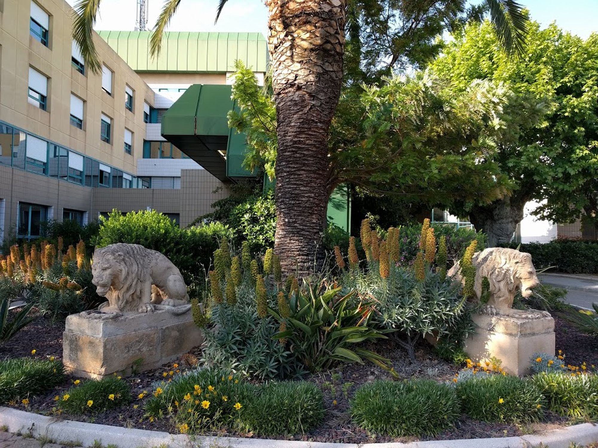 043 Lions Hôpital Hyères